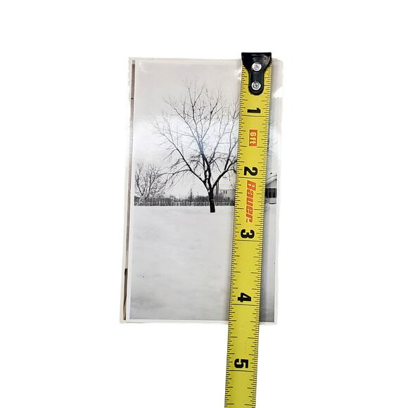 Vtg Snow Scene Tree & Bushes Original Monochrome Photography Found Lot of 2 - Picture 3 of 4